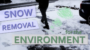 Snow Removal Pollution